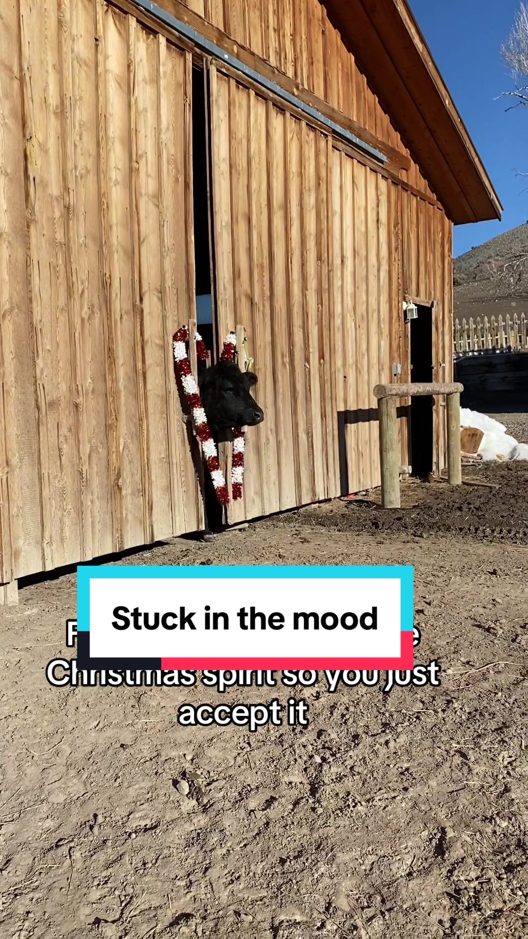 TikTok using Last Christmas - Single Version