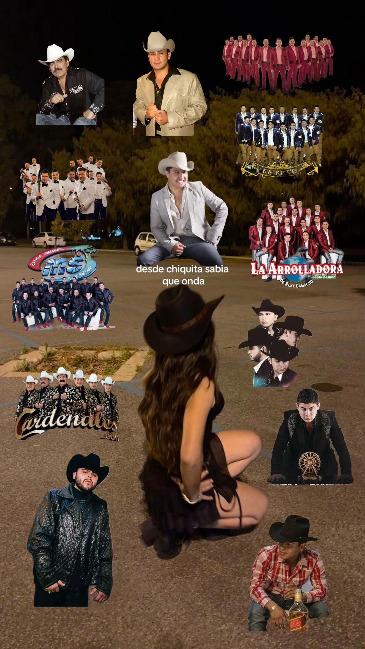 TikTok using Que Nadie Sepa