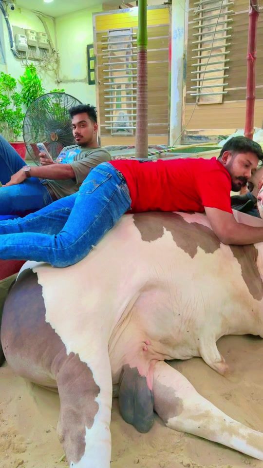 TikTok using Teri Mitti