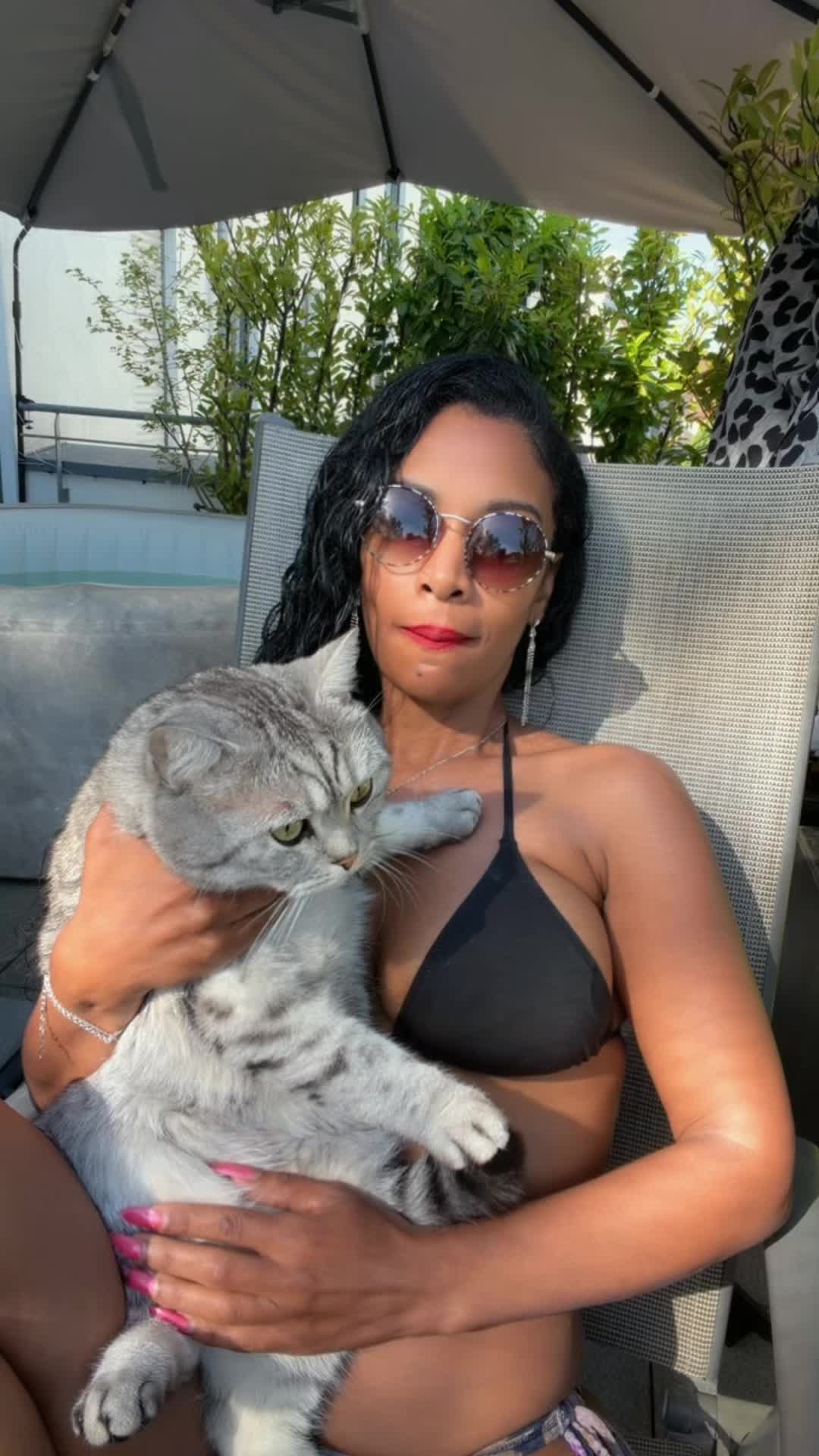 TikTok using Amizade Animal
