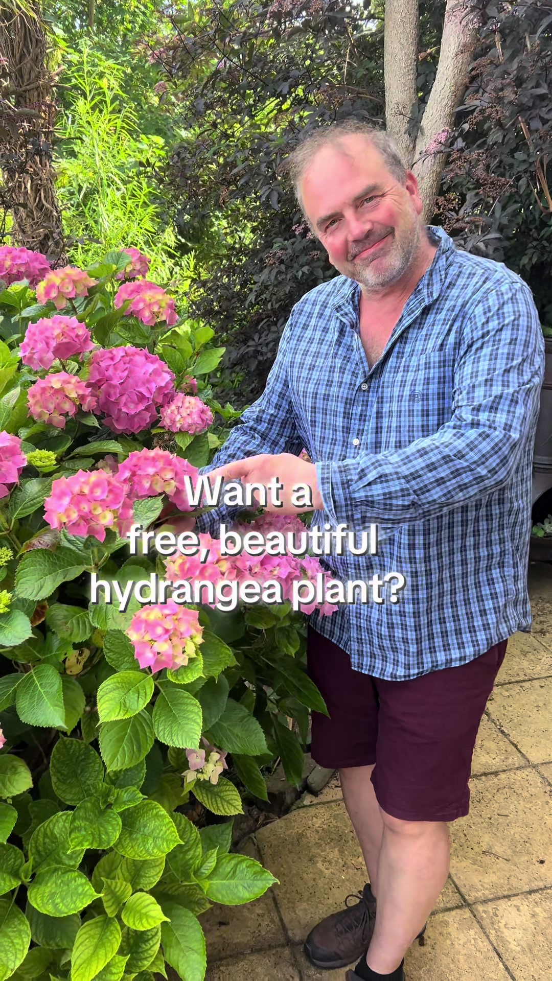 TikTok using Flowers