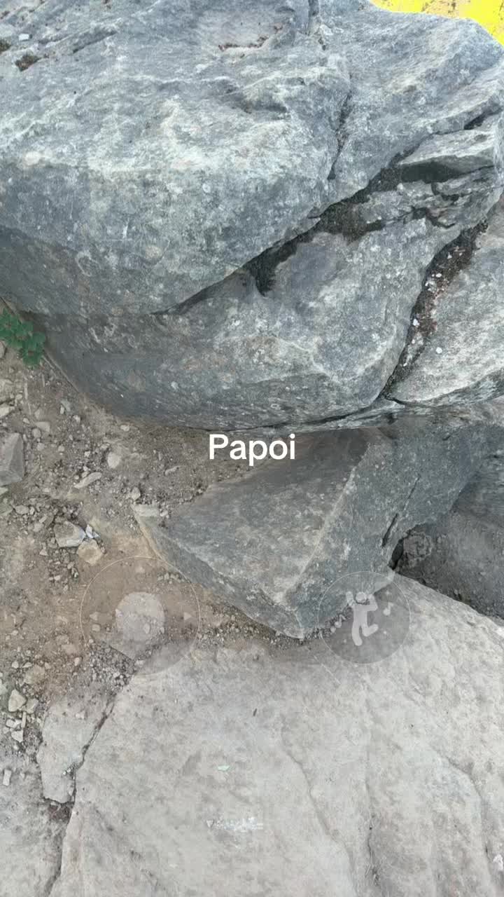 TikTok using oui