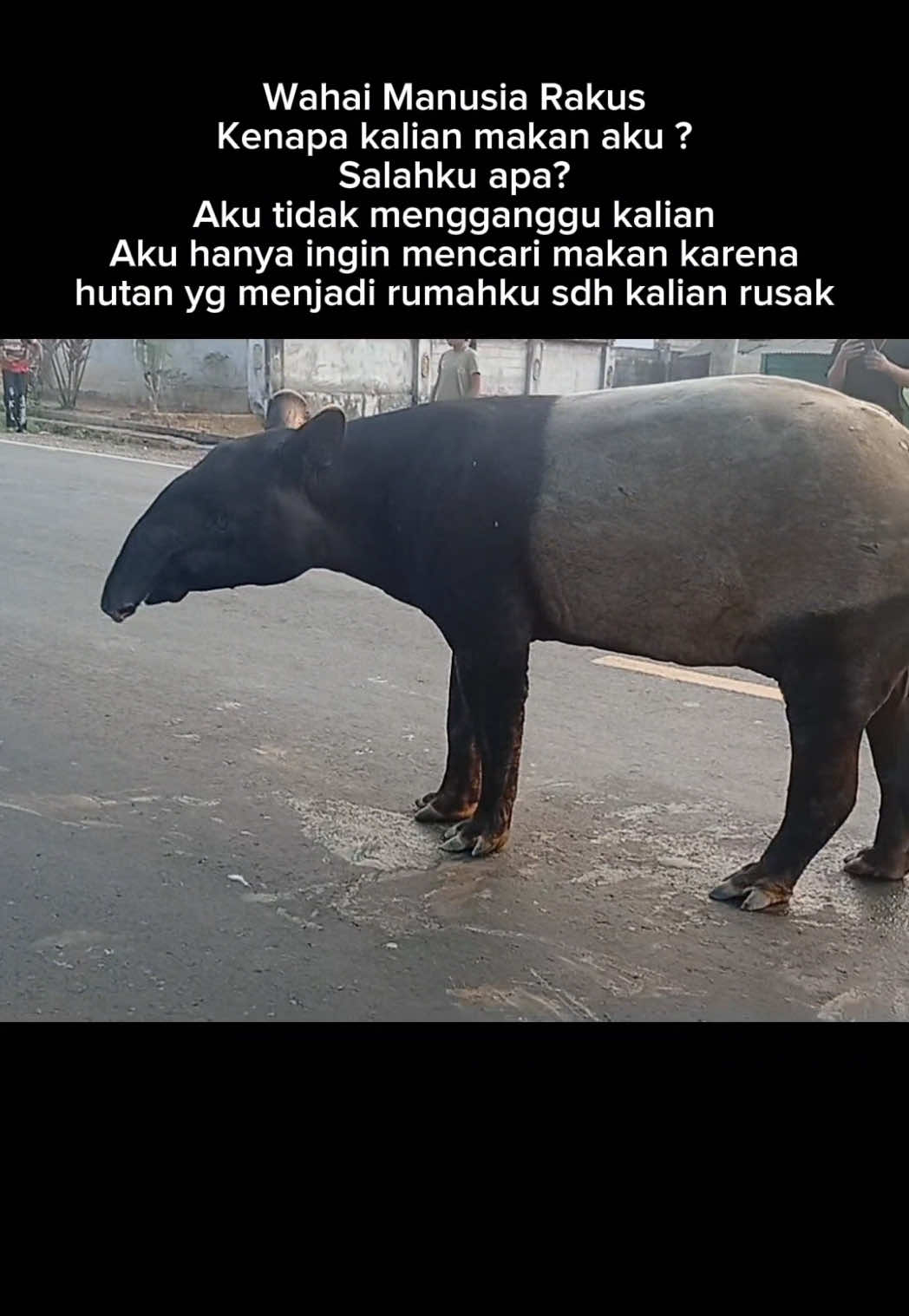 TikTok using Pesan Terakhir