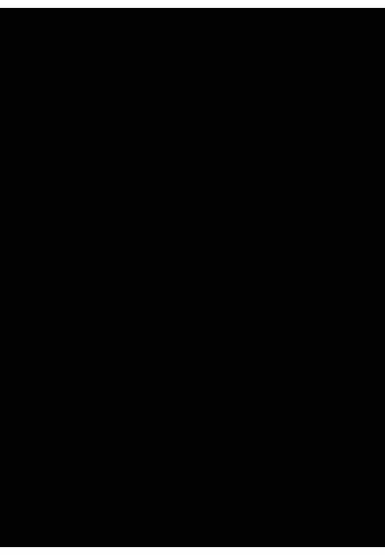 TikTok using No Role Modelz