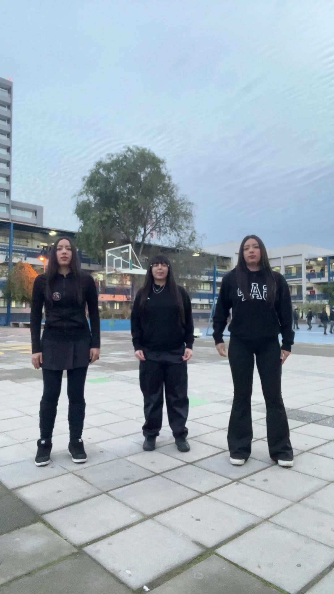 TikTok using Hey Mor