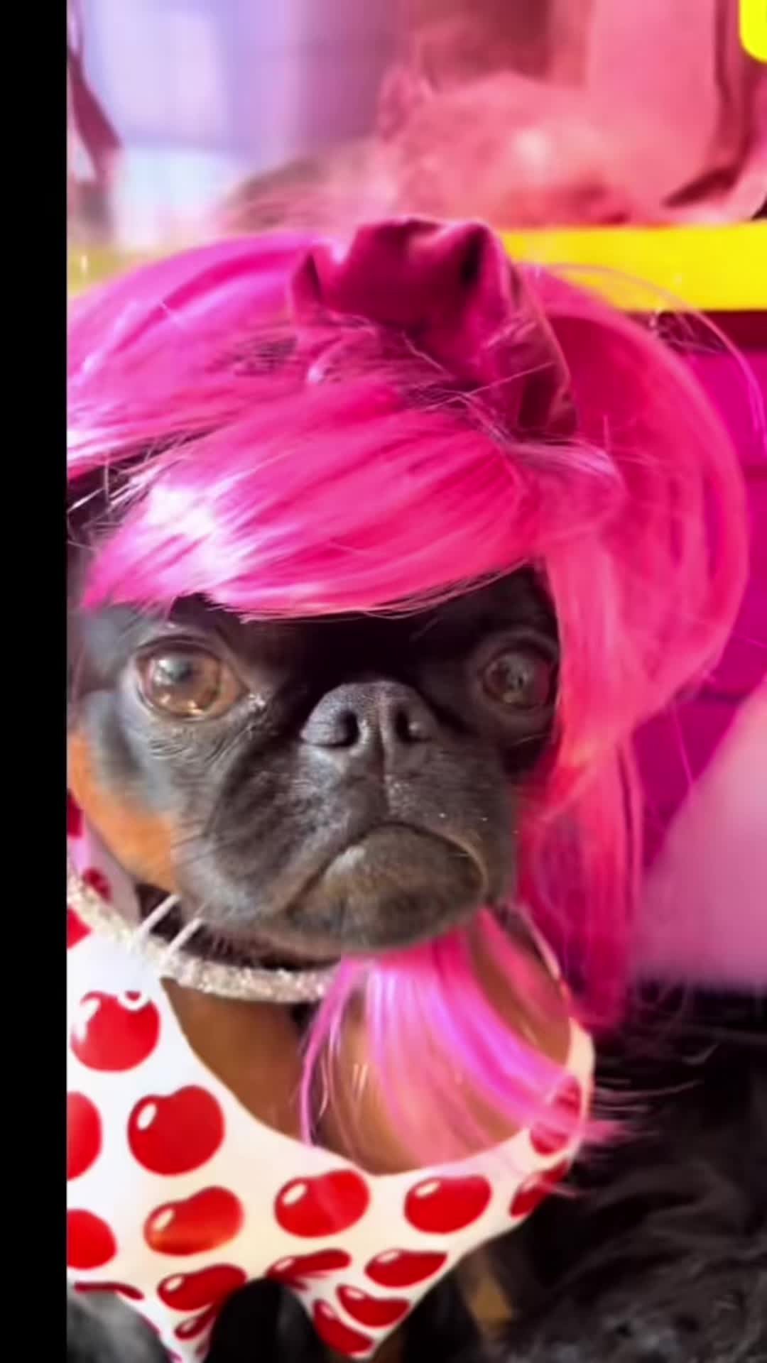 TikTok using Eyes Without A Face - Remastered 1999