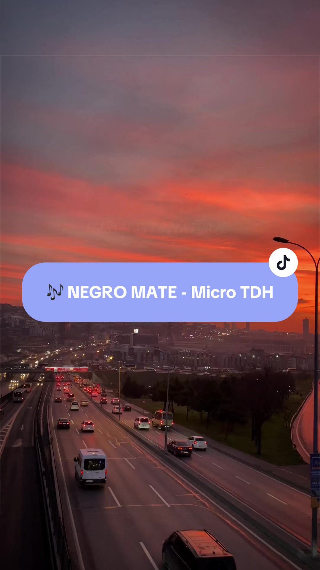 TikTok using NEGRO MATE