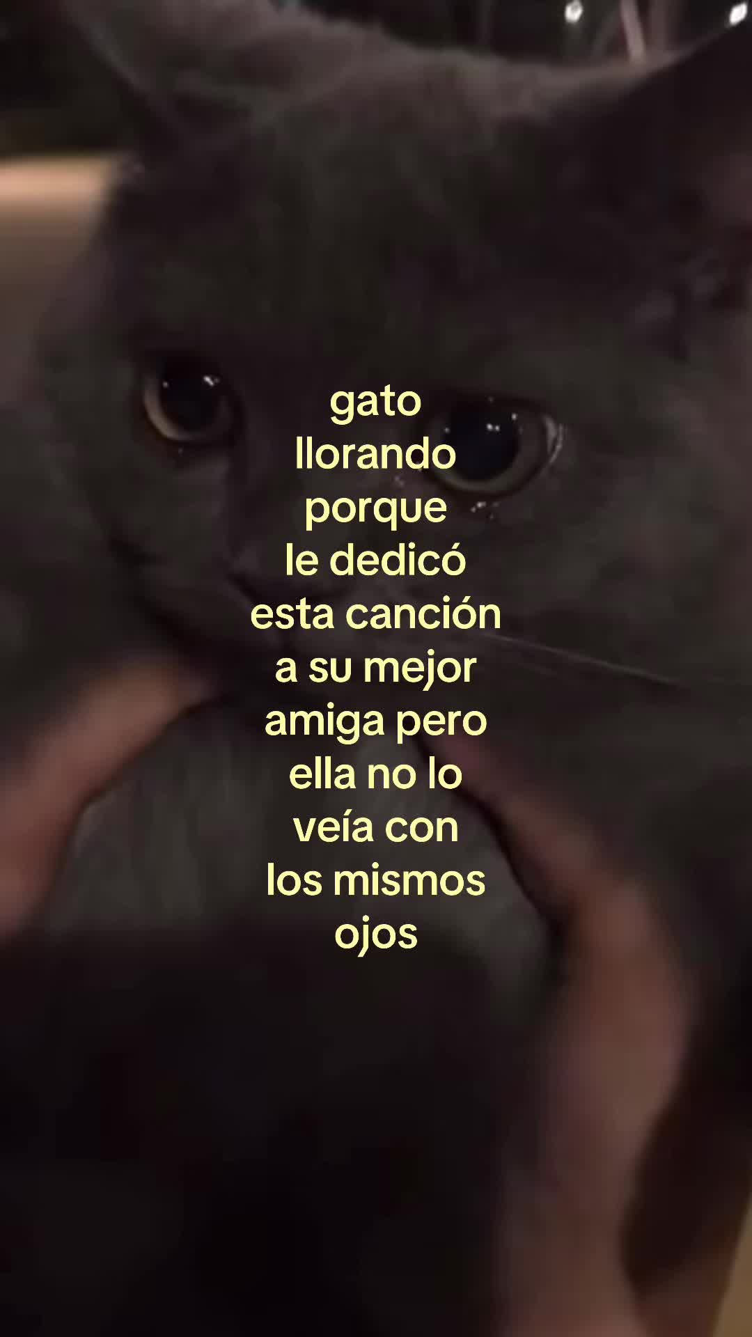 TikTok using Amiga mía