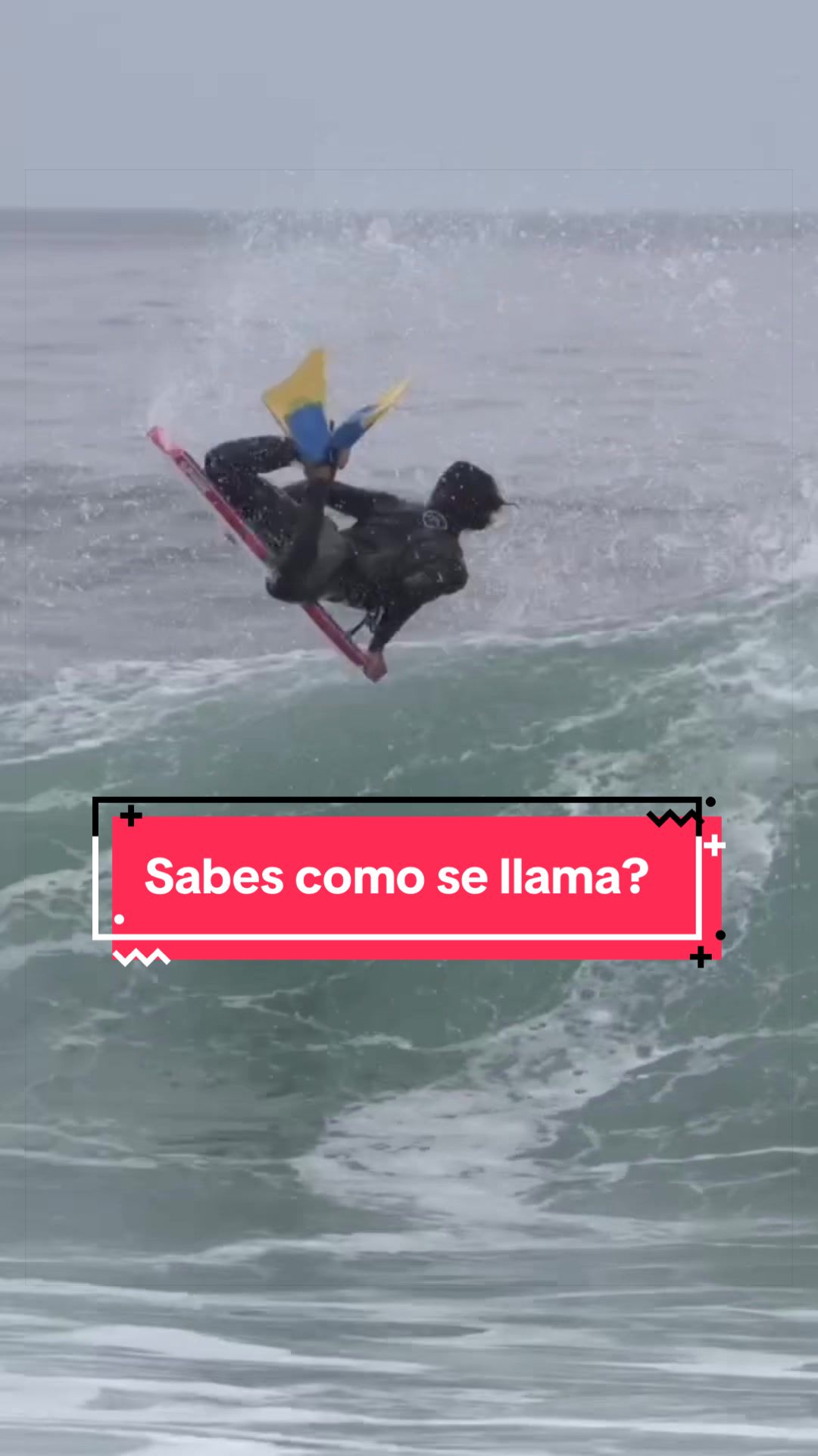 TikTok using Learning To Fly