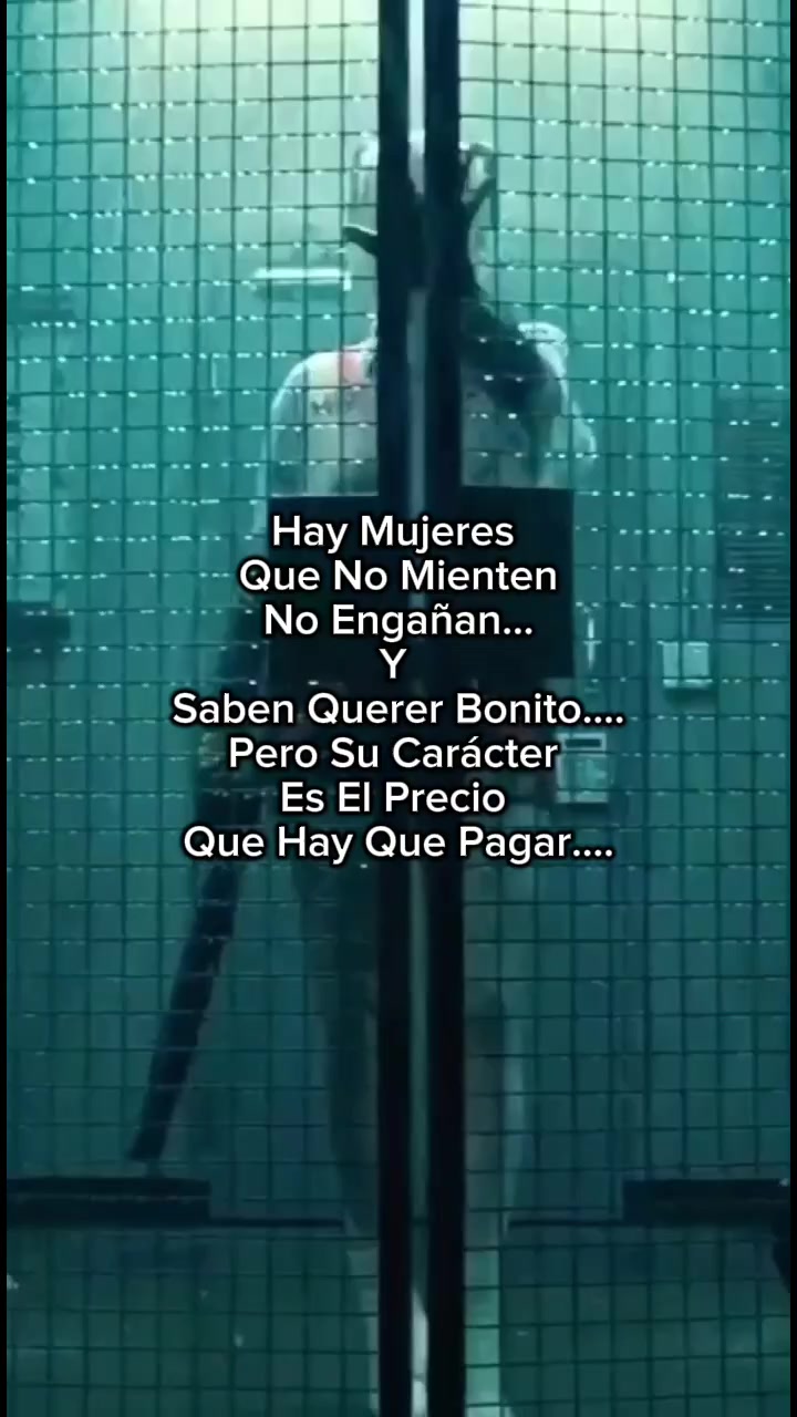 TikTok using QUEMA