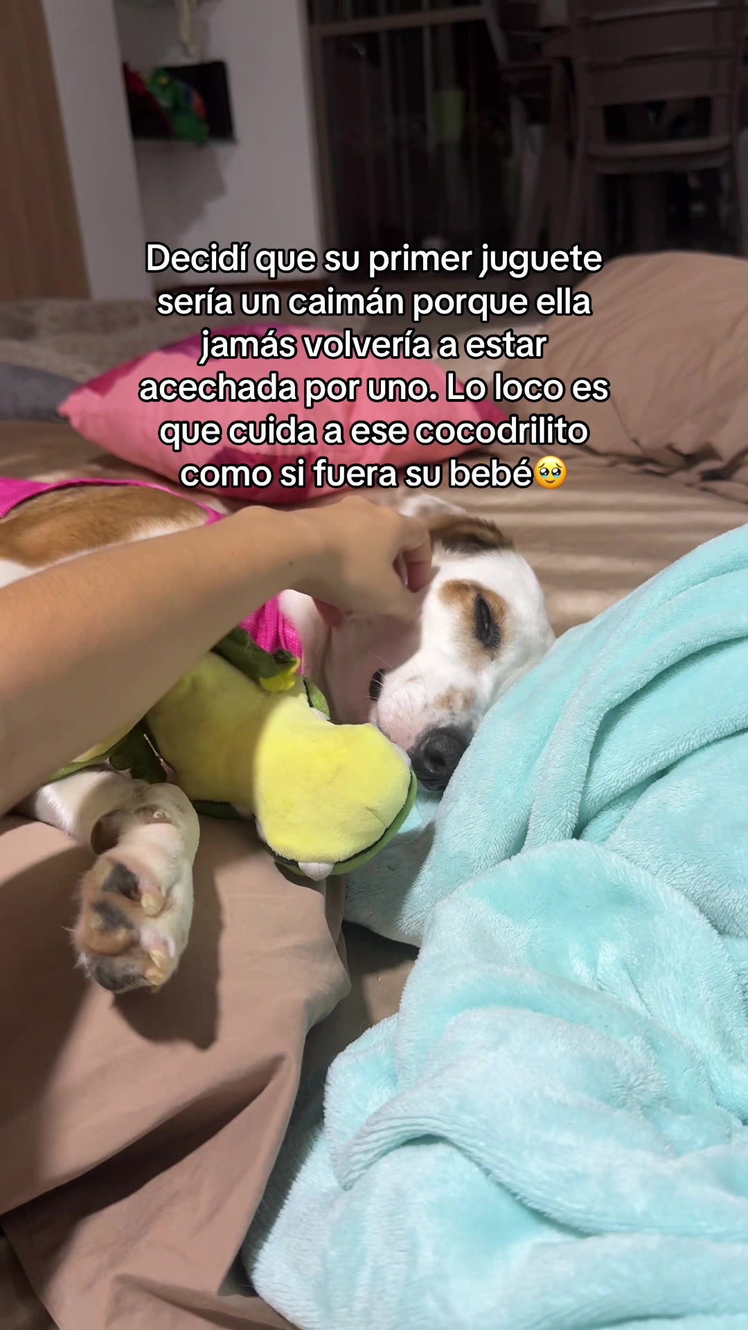 TikTok using Doma