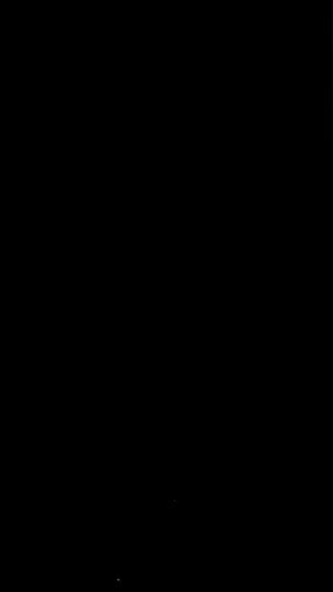 TikTok using Banjaara
