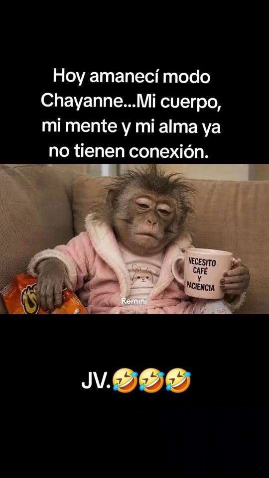TikTok using Dejaría Todo