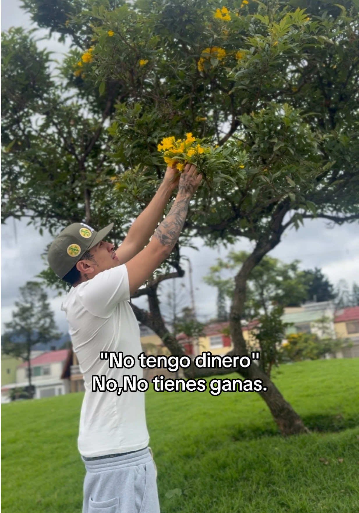 TikTok using Doma