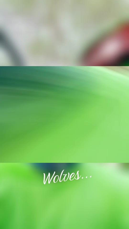 TikTok using Wolves (feat. Post Malone)