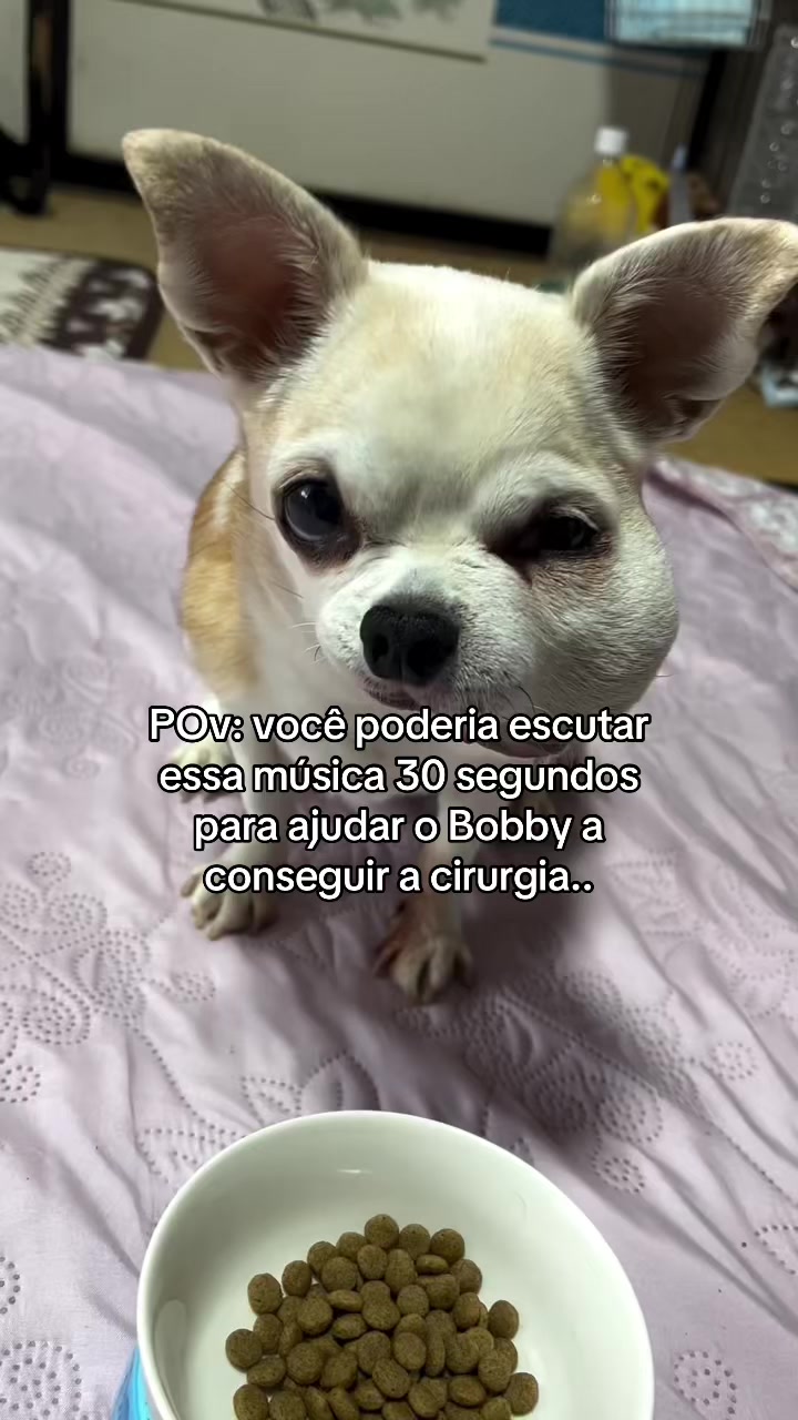 TikTok using Leão