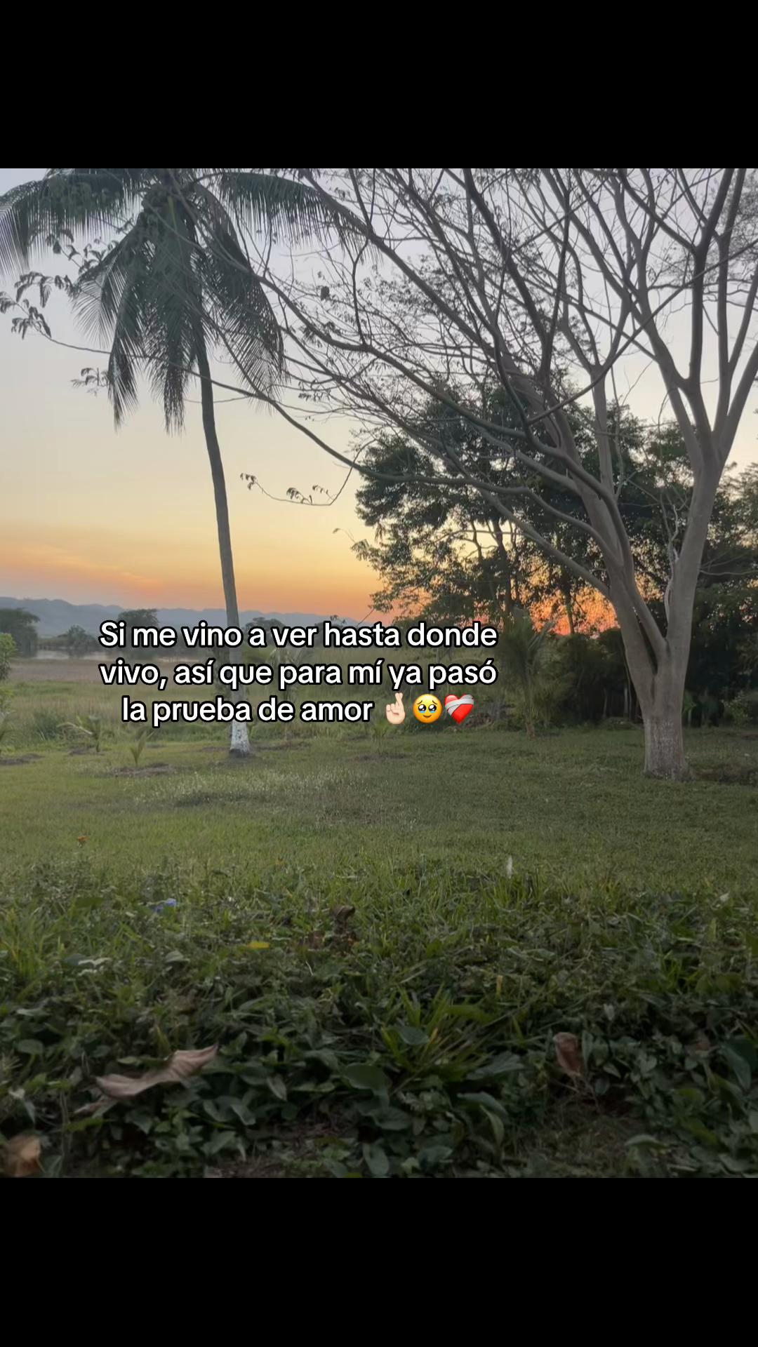 TikTok using Que Nadie Sepa